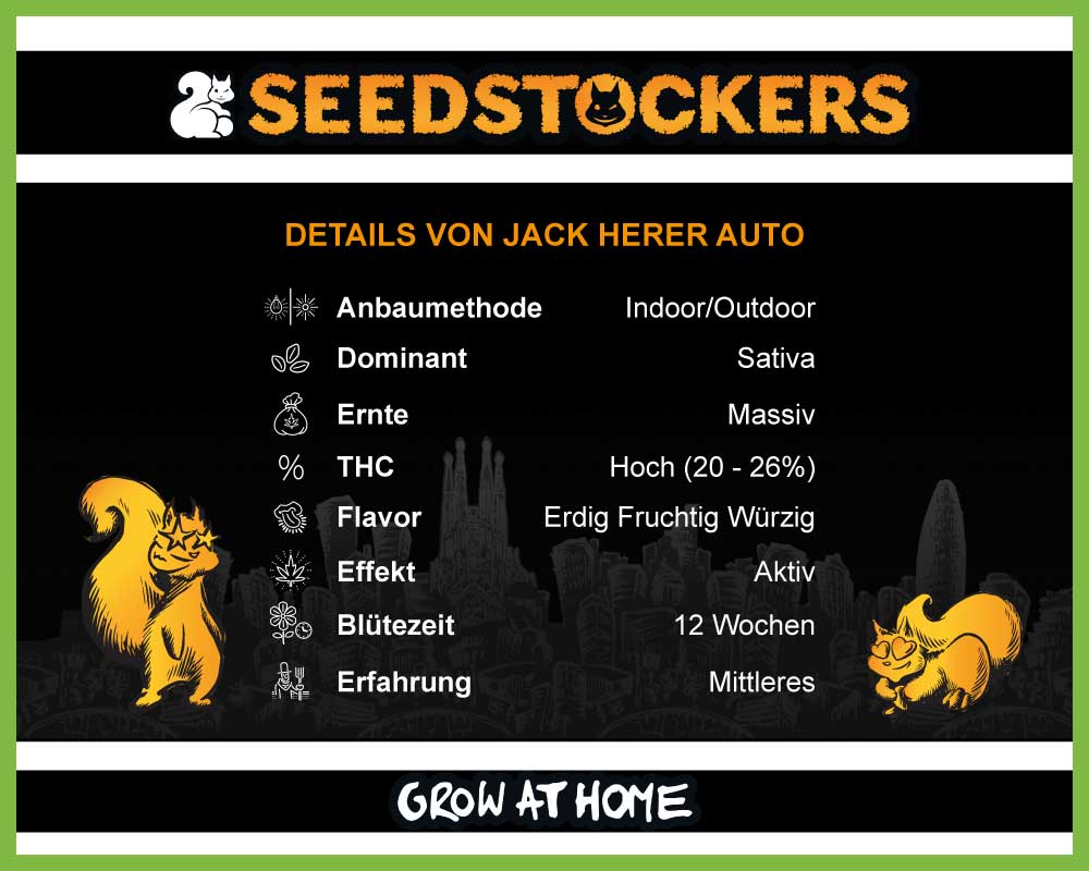 Jack Herer Autoflower (Pack: 3 Samen)