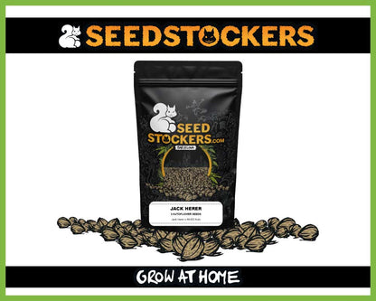 Jack Herer Autoflower (Pack: 3 Samen)