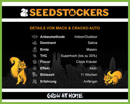 Mack & Crack© Autoflower (Pack: 3+2 Samen)