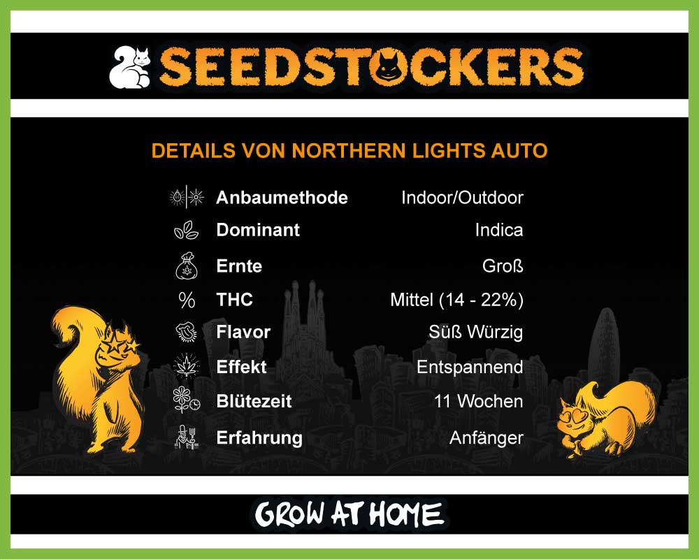 Northern Lights Autoflower (Pack: 3 Samen)