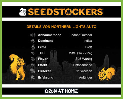Northern Lights Autoflower (Pack: 3 Samen)