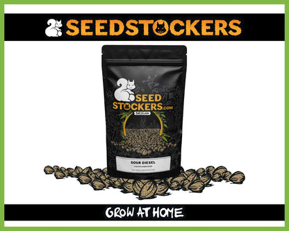 Sour Diesel Autoflower (Pack: 3 Samen)