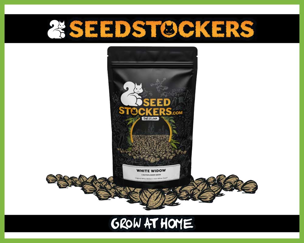 White Widow Autoflower (Pack: 3 Samen)